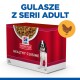 Opakowanie karmy dla psów z napisem "Hill's Science Plan Healthy Cuisine" z miską gulaszu, obrazem psa i ikoną kurczaka.