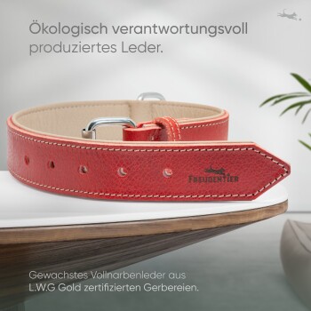 Roter Lederhundehalsband mit silberner Schnalle, mit dem Markennamen "Freudentier" und Text über umweltfreundliche Produktion.
