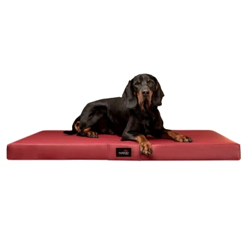 ALICE EASY CLEAN Orthopädische Hundematratze aus Kunstleder dunkelrot 80 cm, 9 cm, 60 cm Ein schwarz-brauner Hund, der auf einem roten Hundebett mit einem tierlando-Logo an der Seite liegt.