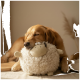 Golden Retriever schläft, der Kopf ruht auf einem runden, flauschigen Schaf-Plüschtier auf einem Bett