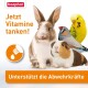 Obraz przedstawia królika, świnkę morską i dwa ptaki z tekstem "Jetzt Vitamine tanken!" oraz "Unterstützt die Abwehrkräfte."