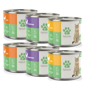 Sechs bunte Dosen Fellicità Katzenfutter in den Geschmacksrichtungen Ente, Kaninchen und Hähnchen, die hochwertige, monoproteinische Zutaten hervorheben.