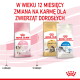 Trzy torby karmy Royal Canin dla kotów (Kitten, Maine Coon, Indoor) z polskim nagłówkiem 'W WIEKU 12 MIESIĘCY ZMIANA NA KARMĘ DLA ZWIERZĄT DOROSŁYCH.'