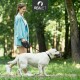Eine Frau in einem hellblauen Blazer führt einen weißen Labrador Retriever an der Leine in einem grünen Park, mit Bäumen im Hintergrund.