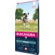 Torba z premium karmą dla psów Eukanuba z figlarnym dalmatyńczykiem, z tekstem podkreślającym, że wspiera długie, zdrowe życie, odpowiednia dla dorosłych psów.