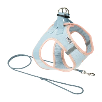 Helles blaues Haustiergeschirr mit pinken Akzenten und reflektierenden Details, begleitet von einer passenden Leine, auf einem weißen Hintergrund präsentiert.