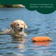 Orangenes rechteckiges Hundespielzeug mit schwarzem Etikett „Romney's“ vor schwarzem Hintergrund.