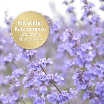 Nahaufnahme violetter Katzenminze-Blüten mit goldenem Siegel 'Mit echter Katzenminze und ohne Pheromone'.