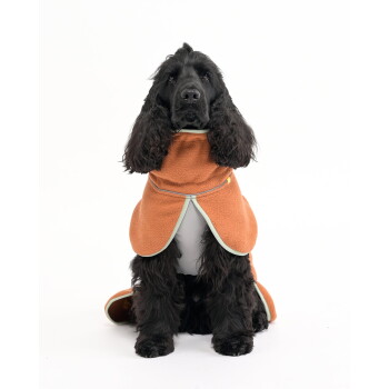 Schwarzer Cocker Spaniel Hund trägt einen orangefarbenen Fleece-Mantel mit hellgrüner Einfassung, sitzt vor weißem Hintergrund.