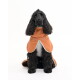 Schwarzer Cocker Spaniel Hund trägt einen orangefarbenen Fleece-Mantel mit hellgrüner Einfassung, sitzt vor weißem Hintergrund.