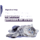 Un chat tigré gris avec des yeux bleus repose sur un fond violet clair avec un texte sur l'aide digestive en période de stress.