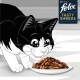 Eine cartoonhafte schwarz-weiße Katze nähert sich begeistert einem Teller mit Purina Felix Tasty Shreds Katzenfutter, vor einem hellen Hintergrund.