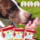 Ein brauner und weißer Hund leckt seine Pfote auf einer grasbewachsenen Fläche neben drei Bechern "Lucky's Eis-Zeit" Hundeeis: Cool Apple, Carrot und Berry.
