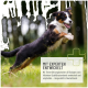 Ein verspielter Hund springt durch ein grasbewachsenes Feld, mit einem Textüberlagerung, die "MIT EXPERTEN ENTWICKELT" besagt und Details über die Expertenentwicklung in Deutschland enthält.