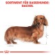 Illustration eines Dackels mit langem Körper und kurzen Beinen, mit der Beschriftung "SORTIMENT FÜR RASSEHUNDE: DACKEL" oben.