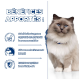 Chat avec un collier bleu à côté d'un texte sur les avantages : brûle les graisses, maintient les muscles, garde la satiété, soutient l'immunité.