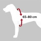 Illustration einer Hundesilhouette mit Maßpfeilen, die einen Größenbereich von 65–80 cm anzeigen.