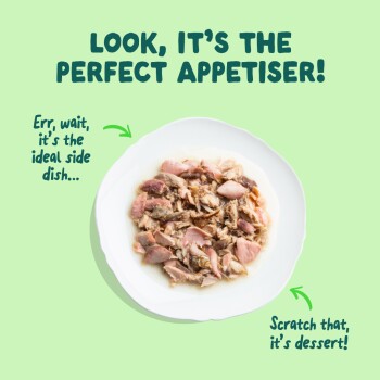 White plate of shredded wet pet food on green. Headline: LOOK, IT'S THE PERFECT APPETISER! Captions note it's the ideal side dish and dessert.