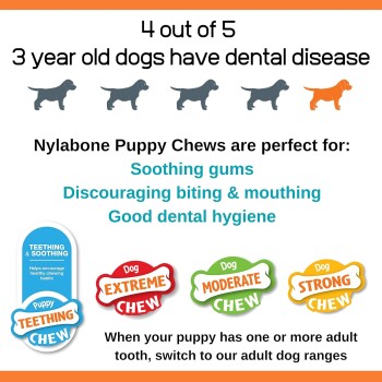 Bild zur Werbung von Nylabone Puppy Chews, das die Vorteile für die Zahngesundheit hervorhebt, mit Text über das Beruhigen des Zahnfleisches und das Abgewöhnen des Beißens.