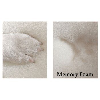 Hundepfote drückt in Memory-Schaum, zeigt den Abdruck des Schaums und ist rechts mit "Memory Foam" beschriftet.