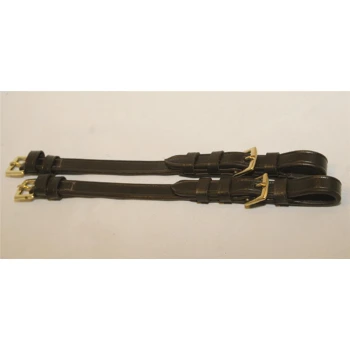 Zwei braune Leder-Hundehalsbänder mit goldenen Schnallen, flach auf einem hellen Hintergrund ausgelegt.