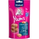 Cat Yums au saumon 9x40 g