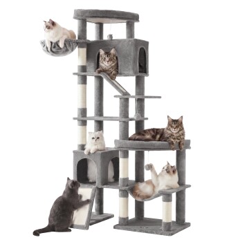 Grau mehrstufiger Kratzbaum mit Plattformen, Kratzstämmen und hängenden Spielzeugen, sechs Katzen, die faulenzen und spielen.