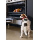 Small dog with a red collar looking into an open oven at a stuffed turkey toy inside.