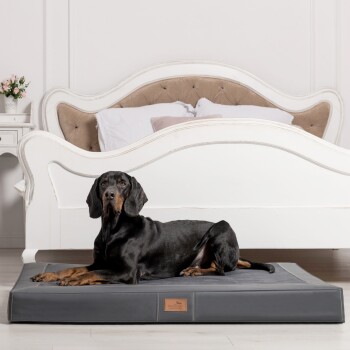 Ein schwarzer Dobermann, der auf einem grauen Hundebett in einem stilvollen Raum mit einem weißen, verzierten Bett und einer kleinen Blumenvase auf einem Nachttisch liegt.