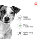 Dog food advertisement highlighting benefits: weight maintenance, strong & healthy bones, optimal vitality support.