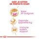 Infographic over kittenvoeding met "Geef je kitten de perfecte start" en iconen voor groei, spijsvertering en immuniteit.