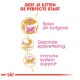 Infographic over kittenvoeding met "Geef je kitten de perfecte start" en iconen voor groei, spijsvertering en immuniteit.