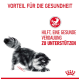 Eine flauschige schwarz-graue Katze spielt auf einem weißen Hintergrund mit den Texten: "Vorteil für die Gesundheit" und "Hilft, eine gesunde Verdauung."