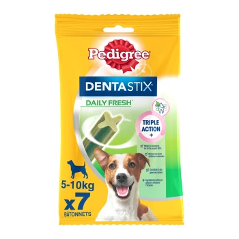 Friandises pour chiens Pedigree DentaStix Daily Fresh, conçues pour les chiens pesant entre 5 et 10 kg, présentant un bâton en forme d'os vert avec des avantages à triple action.