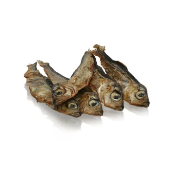 Ein Haufen von fünf getrockneten Fischen, die ihre Köpfe und Schwänze zeigen, auf einer reflektierenden weißen Oberfläche.