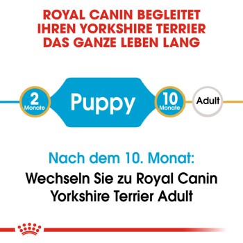 Royal Canin-Leitfaden für Yorkshire Terrier, der die Fütterungsphasen angibt: "Welpe" mit 2 Monaten, "Erwachsener" mit 10 Monaten, mit Übergangshinweisen.