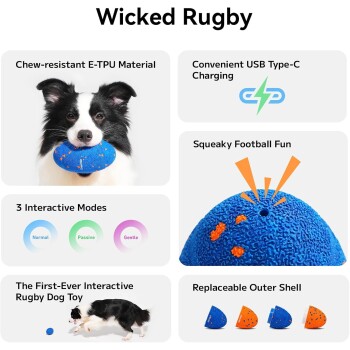 Schwarz-weißer Hund hält ein blaues interaktives Rugby-Hundespielzeug aus kaubeständigem Material mit USB Typ-C-Ladung.