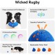 Schwarz-weißer Hund hält ein blaues interaktives Rugby-Hundespielzeug aus kaubeständigem Material mit USB Typ-C-Ladung.