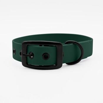 Ein grüner Haustierhalsband mit einer schwarzen Schnalle und einem Metall-D-Ring, auf einem weißen Hintergrund präsentiert.
