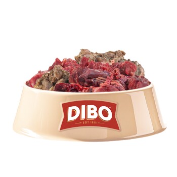 Eine beige Haustierfutterschüssel, gefüllt mit verschiedenen Arten von rohem Fleisch, beschriftet mit "DIBO" und dem Slogan "Für die Besten das Beste" sichtbar.