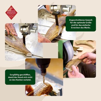 Bild von Händen, die Geweih-Kauspielzeuge für Hunde herstellen, Geweihe schneiden und glätten. Der Text hebt Sicherheit und optimale Größen für Hunde hervor.