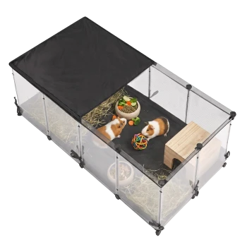 Zwei Meerschweinchen in einem transparenten modularen Auslauf mit Heu, Futternapf, Unterschlupf aus Holz, buntem Ball und schwarzer Stoffabdeckung