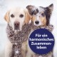 Zwei Hunde in gestrickten Schals stehen im Schnee, mit dem Text 'Für ein harmonisches Zusammenleben' über ihnen.