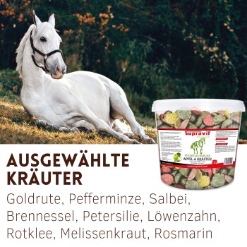 Weißes Pferd liegt auf Gras neben einem Eimer Supravit Kräuterpferdeleckerlis mit der Aufschrift „Mit gesunden Kräutern“.