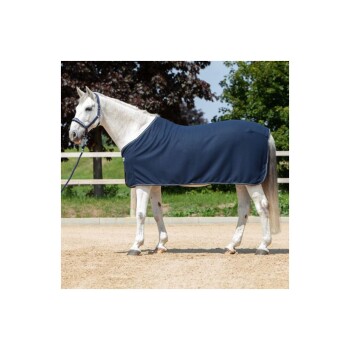 Ein graues Pferd mit einer marineblauen Decke steht in einer sandigen Arena, mit grünen Bäumen im Hintergrund.