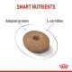 Image of a pet food kibble labeled "SMART NUTRIENTS" with annotations for "Adapted protein" and "L-carnitine."