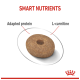 Image of a pet food kibble labeled "SMART NUTRIENTS" with annotations for "Adapted protein" and "L-carnitine."