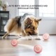 Ein verspielter Hund interagiert mit drei pinken, runden Spielzeugen auf einem Holzboden, mit dem Text darüber: "AUTO MATIC OBSTACLE AVOIDANCE AND IRREGULAR POSITION."