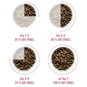 Bild, das vier Schüsseln mit Haustierfutter in unterschiedlichen Mengen zeigt: Tag 1-2 (25%), Tag 3-4 (50%), Tag 5-6 (75%), Tag 7 (100%) mit der Aufschrift 'EAT SMALL.'