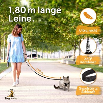 Eine Frau in einem hellblauen Kleid führt eine graue Katze an einer 1,80 m langen Leine in einem Park mit hervorgehobenen Textmerkmalen.